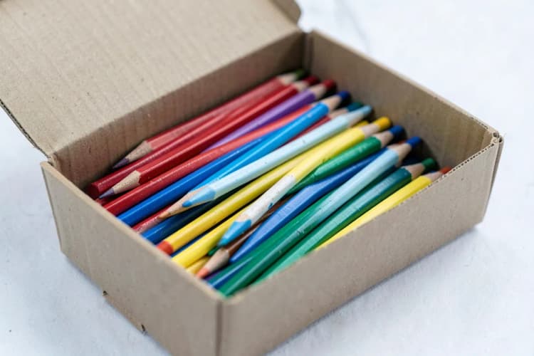 Seção 4: Uma caixa de lápis de cor aberta com vários lápis coloridos dispostos em leque.