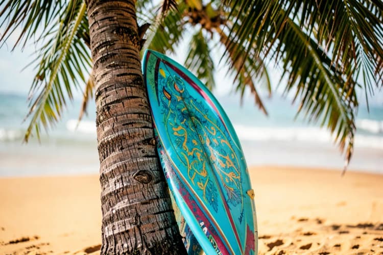 Prancha de surf colorida encostada em coqueiro na praia de Jericoacoara